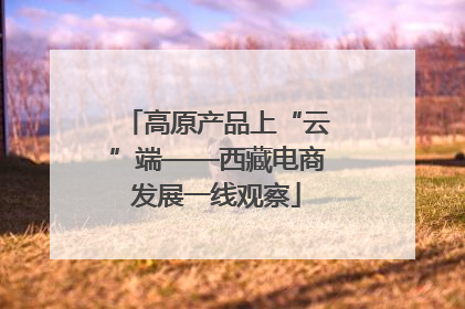 高原产品上“云”端——西藏电商发展一线观察