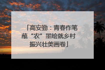 高安勤：青春作笔蘸“农”墨绘就乡村振兴壮美画卷