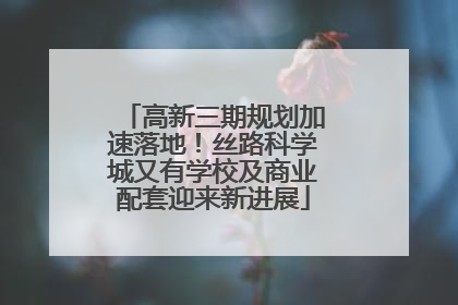 高新三期规划加速落地！丝路科学城又有学校及商业配套迎来新进展