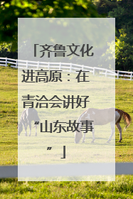 齐鲁文化进高原：在青洽会讲好“山东故事”