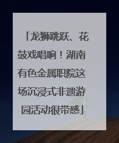 龙狮跳跃、花鼓戏唱响！湖南有色金属职院这场沉浸式非遗游园活动很带感