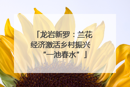 龙岩新罗：兰花经济激活乡村振兴“一池春水”