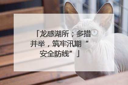 龙感湖所；多措并举，筑牢汛期“安全防线”