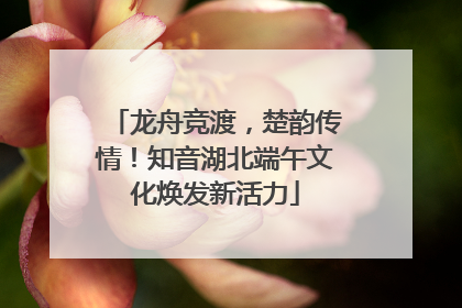 龙舟竞渡，楚韵传情！知音湖北端午文化焕发新活力