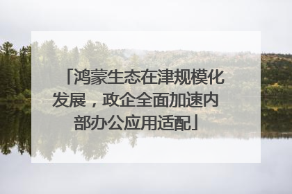 鸿蒙生态在津规模化发展，政企全面加速内部办公应用适配