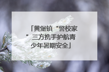 黄堡镇“警校家”三方携手护航青少年暑期安全