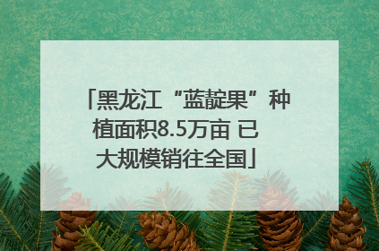 黑龙江“蓝靛果”种植面积8.5万亩 已大规模销往全国
