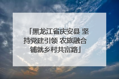 黑龙江省庆安县 坚持党建引领 农旅融合铺就乡村共富路