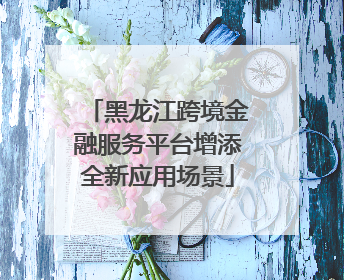 黑龙江跨境金融服务平台增添全新应用场景