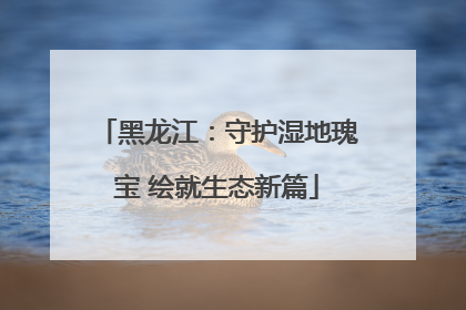 黑龙江：守护湿地瑰宝 绘就生态新篇