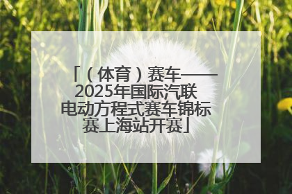 （体育）赛车——2025年国际汽联电动方程式赛车锦标赛上海站开赛