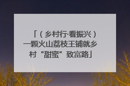 （乡村行·看振兴）一颗火山荔枝王铺就乡村“甜蜜”致富路