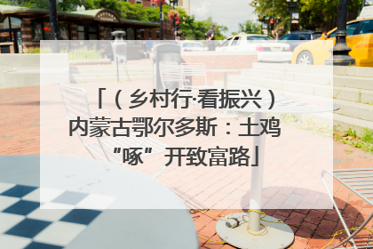（乡村行·看振兴）内蒙古鄂尔多斯：土鸡“啄”开致富路