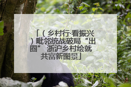 （乡村行·看振兴）毗邻统战破局“出圈” 浙沪乡村绘就共富新图景
