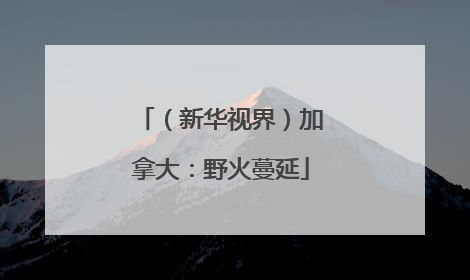 （新华视界）加拿大：野火蔓延