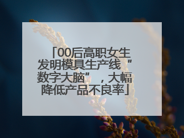 00后高职女生发明模具生产线“数字大脑”，大幅降低产品不良率