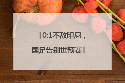 0:1不敌印尼，国足告别世预赛