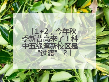 1+2，今年秋季新普高来了！科中五缘湾新校区是“过渡”？