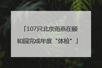 107只北京雨燕在颐和园完成年度“体检”
