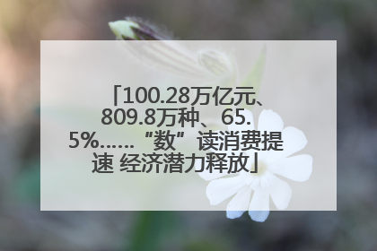 100.28万亿元、809.8万种、65.5%……“数”读消费提速 经济潜力释放