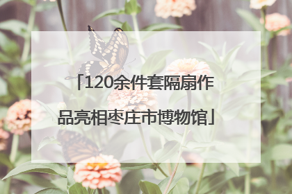 120余件套隔扇作品亮相枣庄市博物馆