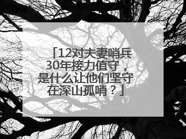 12对夫妻哨兵30年接力值守，是什么让他们坚守在深山孤哨？
