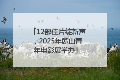12部佳片绽新声，2025年麓山青年电影展举办