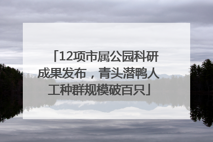 12项市属公园科研成果发布，青头潜鸭人工种群规模破百只