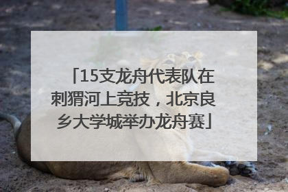 15支龙舟代表队在刺猬河上竞技，北京良乡大学城举办龙舟赛