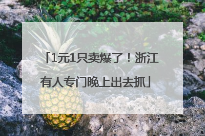 1元1只卖爆了！浙江有人专门晚上出去抓