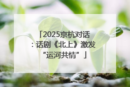 2025京杭对话：话剧《北上》激发“运河共情”