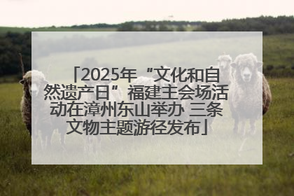 2025年“文化和自然遗产日”福建主会场活动在漳州东山举办 三条文物主题游径发布