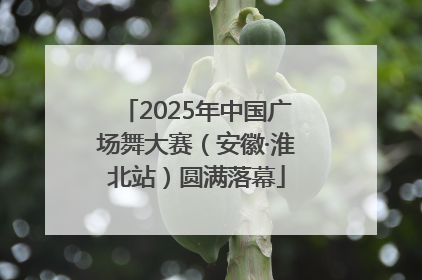 2025年中国广场舞大赛（安徽·淮北站）圆满落幕