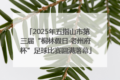 2025年五指山市第三届“桐林假日·老州府杯”足球比赛圆满落幕