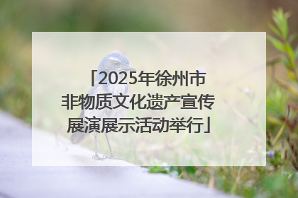 2025年徐州市非物质文化遗产宣传展演展示活动举行