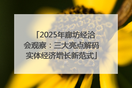 2025年廊坊经洽会观察：三大亮点解码实体经济增长新范式