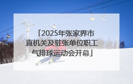 2025年张家界市直机关及驻张单位职工气排球运动会开幕