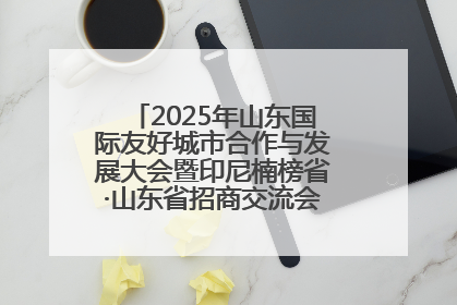 2025年山东国际友好城市合作与发展大会暨印尼楠榜省·山东省招商交流会在济南槐荫举行