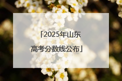 2025年山东高考分数线公布