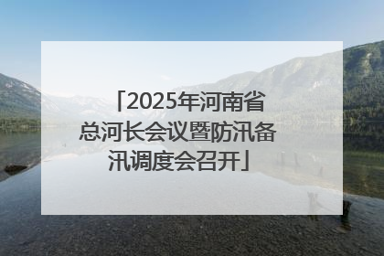 2025年河南省总河长会议暨防汛备汛调度会召开