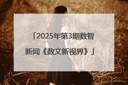 2025年第3期数智新闻《数文新视界》