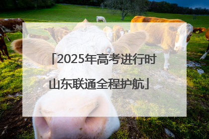 2025年高考进行时 山东联通全程护航