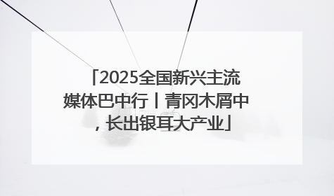 2025全国新兴主流媒体巴中行丨青冈木屑中，长出银耳大产业