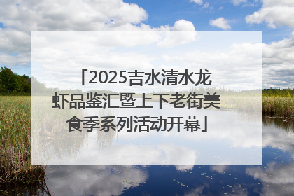 2025吉水清水龙虾品鉴汇暨上下老街美食季系列活动开幕