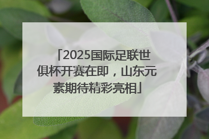 2025国际足联世俱杯开赛在即，山东元素期待精彩亮相
