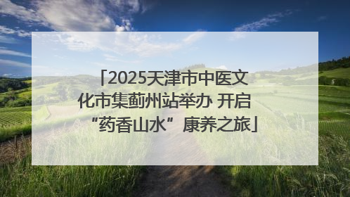 2025天津市中医文化市集蓟州站举办 开启“药香山水”康养之旅