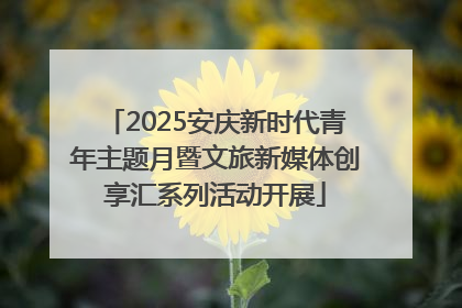 2025安庆新时代青年主题月暨文旅新媒体创享汇系列活动开展
