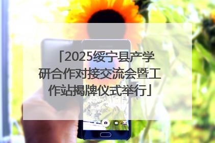 2025绥宁县产学研合作对接交流会暨工作站揭牌仪式举行
