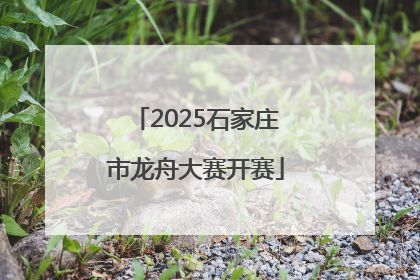 2025石家庄市龙舟大赛开赛