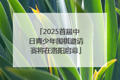 2025首届中日青少年围棋邀请赛将在洛阳启幕